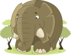 L’elefante ti passa davanti al naso?